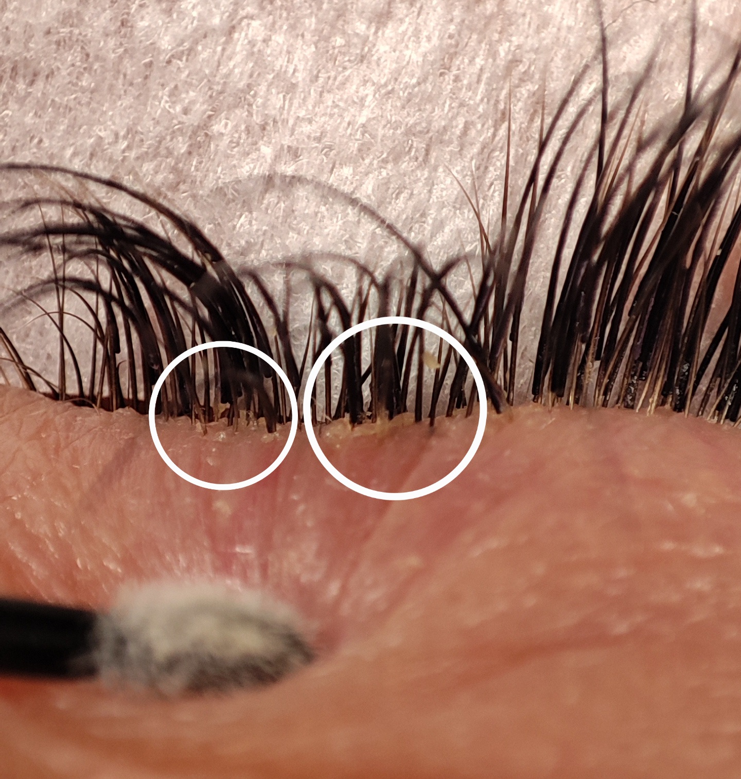 bebeauty-kristiansand-vipper-problemer